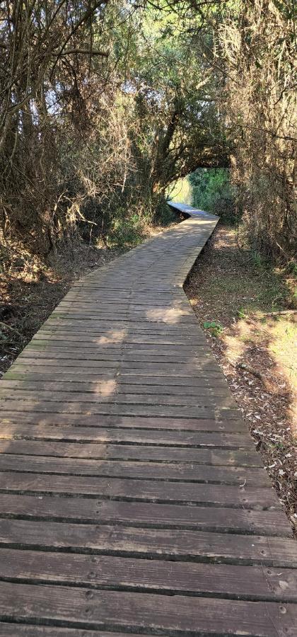 The Bridge, Apartment 25 Saint Lucia Estuary 외부 사진